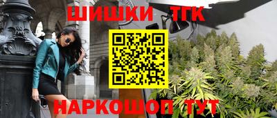 гашик Жуковский