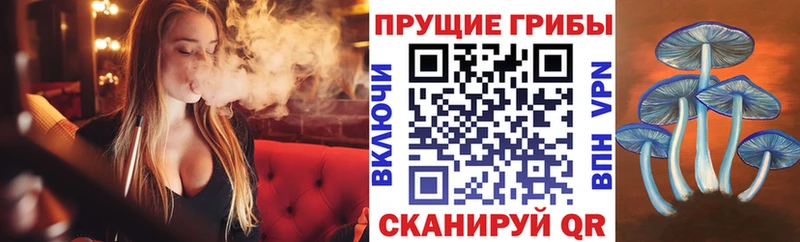 Галлюциногенные грибы Magic Shrooms  Зеленодольск 