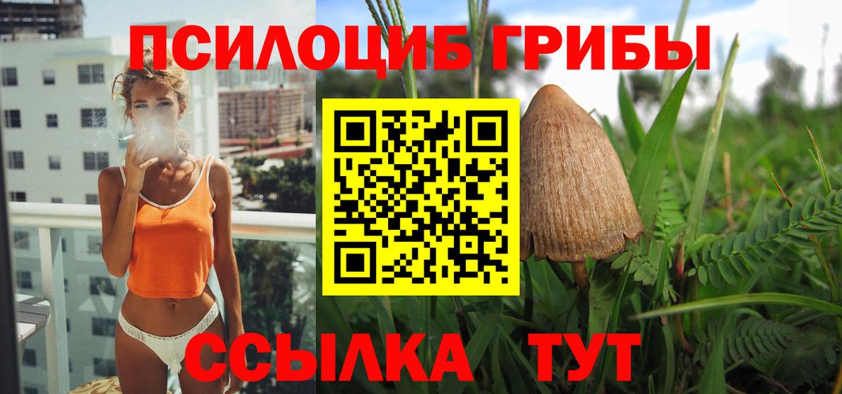 Псилоцибиновые грибы мухоморы  Галлюциногенные грибы мухоморы  Вход с VPN  цены   Зеленодольск 